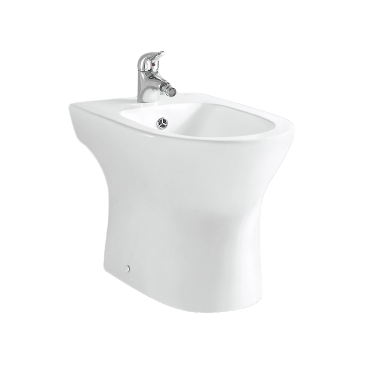 Modern One-Piece Ceramic Toilet Bidet, Floor Mount & Self-Cleaning